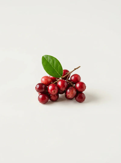 Cranberry Extract